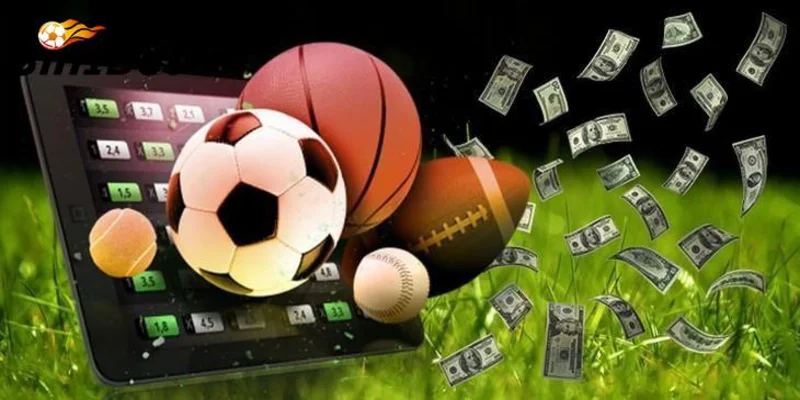 Cá cược thể thao số 1 0 2 chỉ có tại thương hiệu 3IN1BET